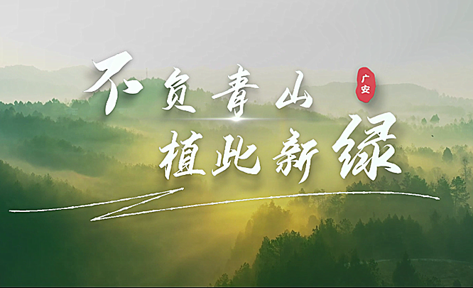 不负青山，植此新绿——广安储备林形象...