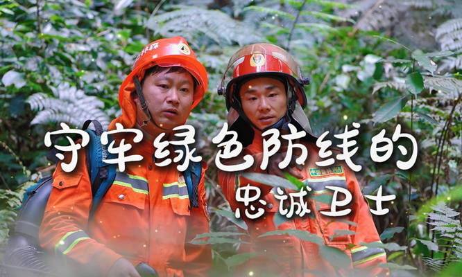 守牢绿色防线的忠诚卫士