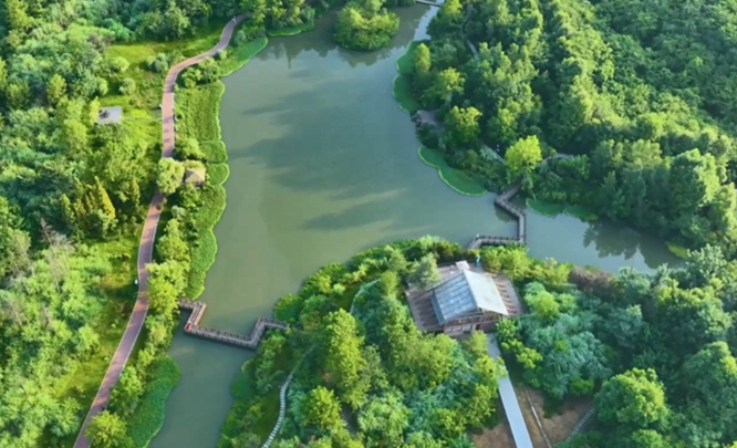走进成都湿地丨桤木河湿地