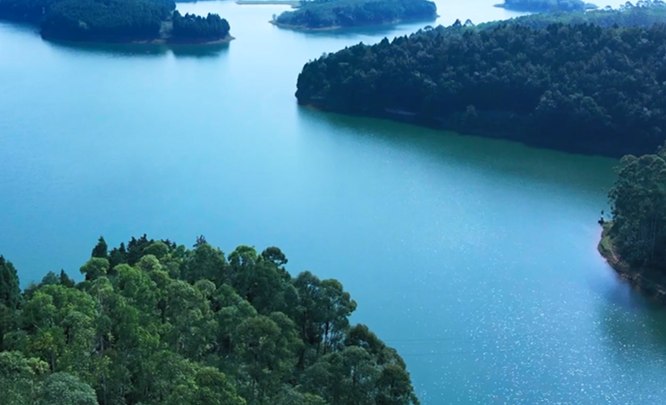 走进成都湿地丨龙泉湖省级自然保护区