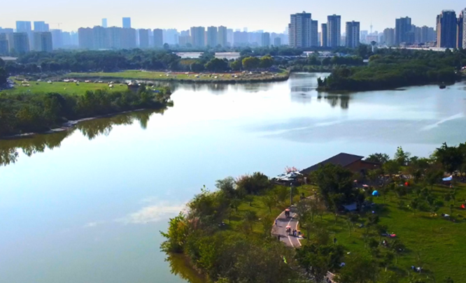 走进成都湿地丨青龙湖