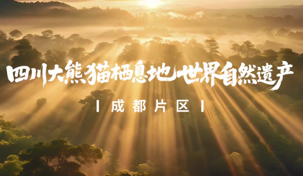 走近四川大熊猫栖息地世界自然遗产