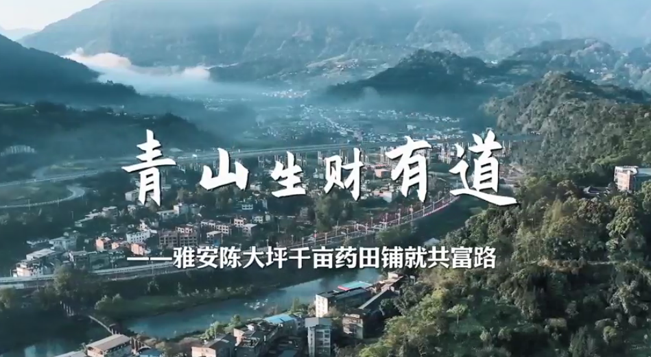 青山生财有道