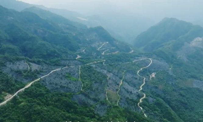 林下生金——青川县林下经济振兴之路