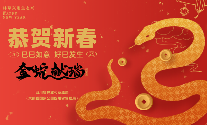 恭贺新春