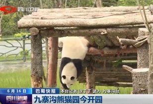 【四川卫视 】九寨沟熊猫园开园